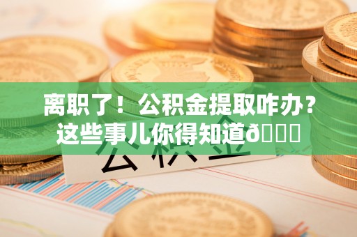 寒亭离职了！公积金提取咋办？这些事儿你得知道😎